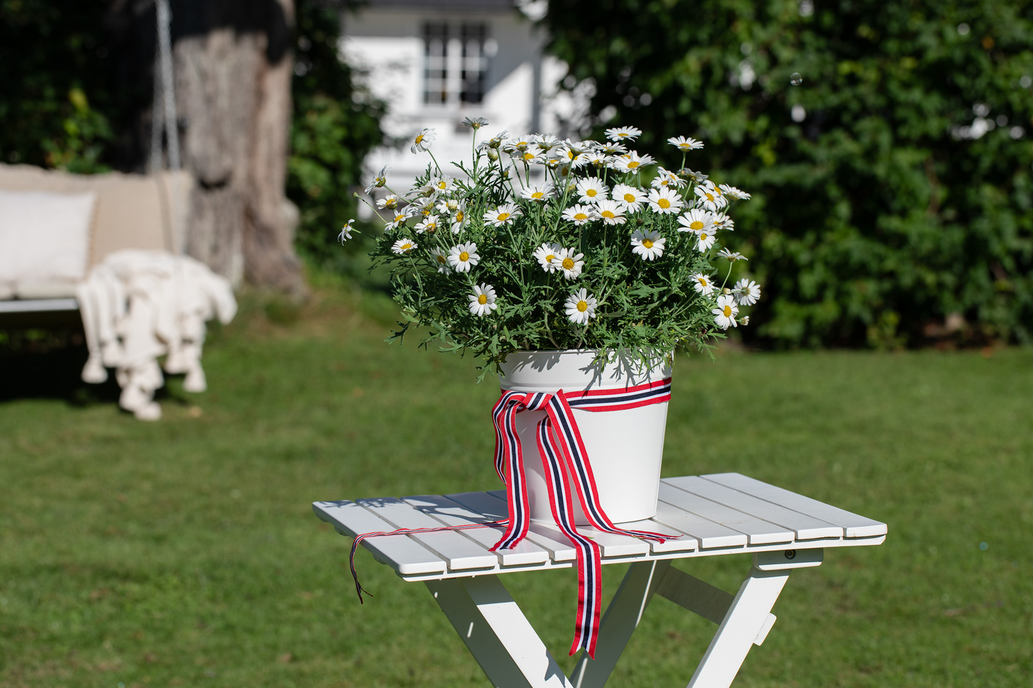 Ampel med sommerblomster